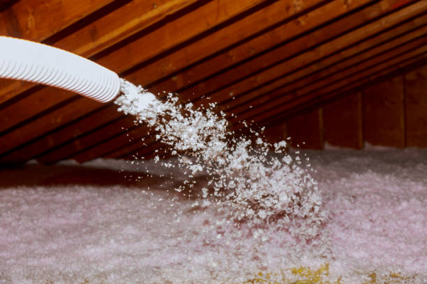 Trusted Meggett, SC Insulation Contractor Experts