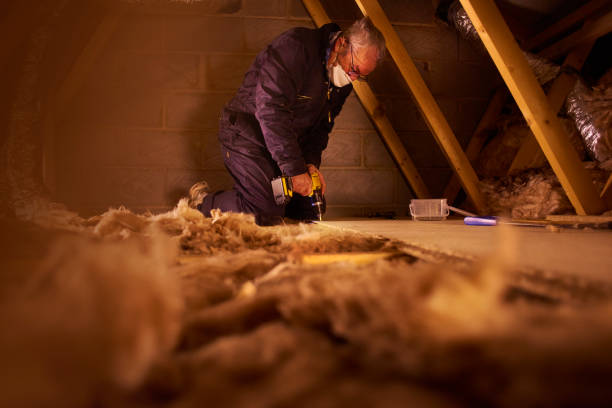 Best Specialized Insulation Services in Meggett, SC